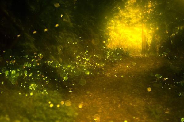 願いが叶う強運期！今あなたが叶えたい望みをひとつだけ【6月5日〜15日】