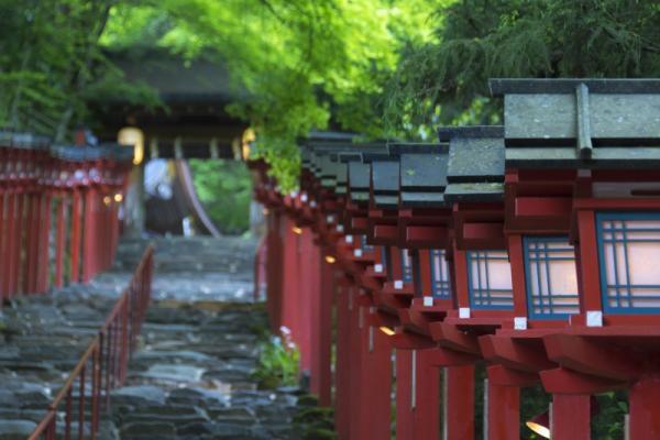 願いが叶う強運期！今あなたが叶えたい望みをひとつだけ【6月5日〜15日】