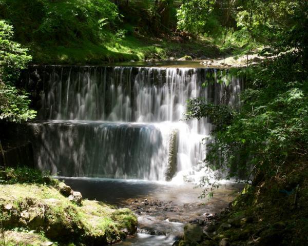 願いが叶う強運期！今あなたが叶えたい望みをひとつだけ【6月5日〜15日】