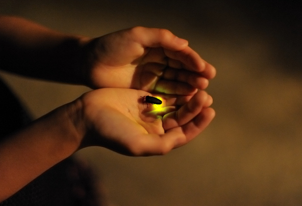 願いが叶う強運期！今あなたが叶えたい望みをひとつだけ【6月5日〜15日】