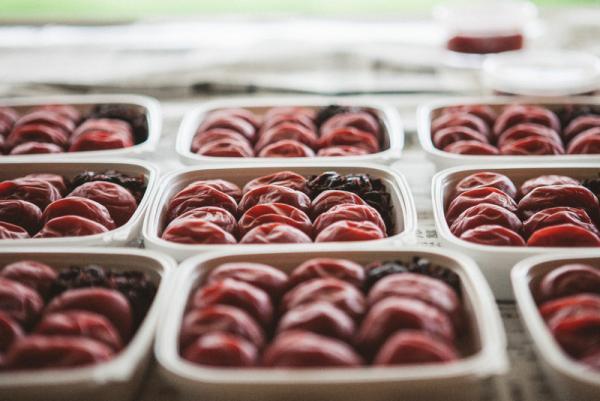 今日の災難を逃れる「おまじない」1粒ウメボシを朝、食べると・・・？【6月16日～25日】