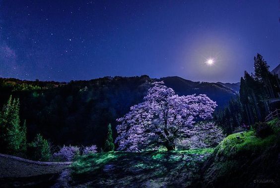 この夏、感動したいあなたへ。心洗われる神秘的スポット4つ