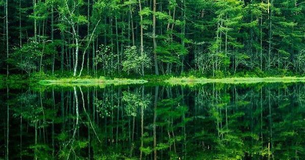 この夏、感動したいあなたへ。心洗われる神秘的スポット4つ