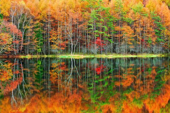 この夏、感動したいあなたへ。心洗われる神秘的スポット4つ