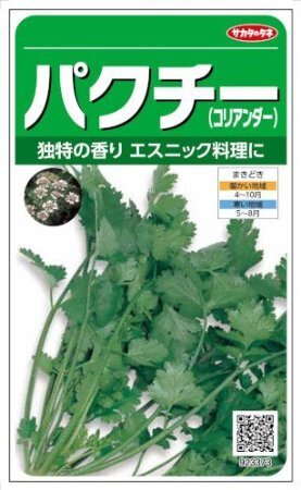パクチー、ケール・・・トレンド野菜は自宅で作れる!?