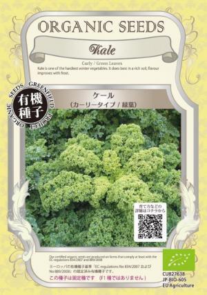 パクチー、ケール・・・トレンド野菜は自宅で作れる!?