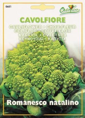 パクチー、ケール・・・トレンド野菜は自宅で作れる!?