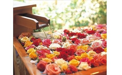 ふるさと納税でキレイになれる！美容にうれしい商品第3選