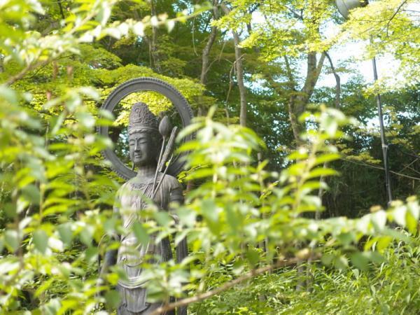 【7月のパワースポット】花見ならぬ「蓮見」で縁結びパワーを！