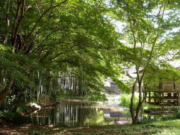 【7月のパワースポット】花見ならぬ「蓮見」で縁結びパワーを！