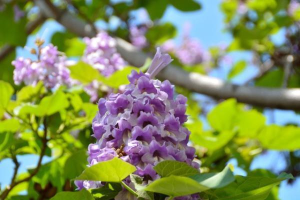 食べたい！夏のしあわせを運ぶパワーチャージフード3つ【7月22日～27日】