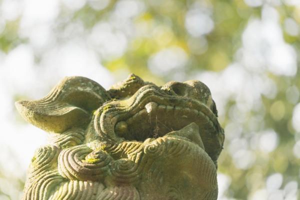 「こんな狛犬、見たことがない！」神社をより楽しむ方法①