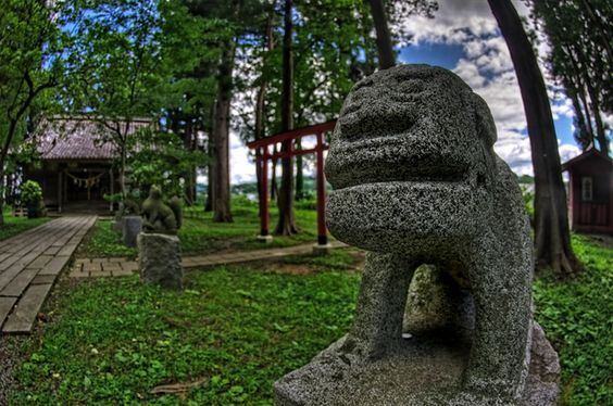 「こんな狛犬、見たことがない！」神社をより楽しむ方法①