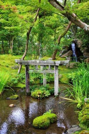 鳥居に秘められた謎を解明！神社をより楽しむ方法②