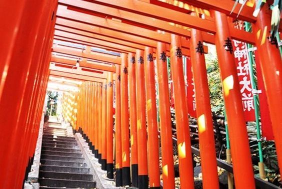 鳥居に秘められた謎を解明！神社をより楽しむ方法②