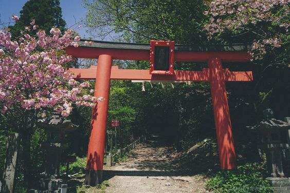 鳥居に秘められた謎を解明！神社をより楽しむ方法②