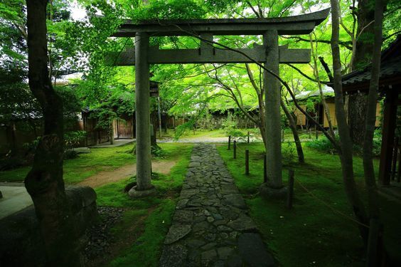 鳥居に秘められた謎を解明！神社をより楽しむ方法②
