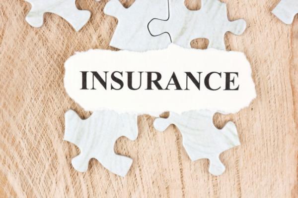 【不安を解消】ライフプランナーが教える30代女性のための生命保険