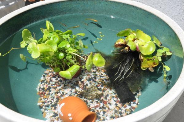 おうちに“侘び寂び”インテリア！小さな「水辺」をDIYしてみませんか？