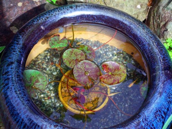 おうちに“侘び寂び”インテリア！小さな「水辺」をDIYしてみませんか？