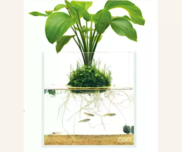 おうちに“侘び寂び”インテリア！小さな「水辺」をDIYしてみませんか？