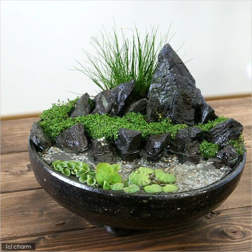 おうちに“侘び寂び”インテリア！小さな「水辺」をDIYしてみませんか？