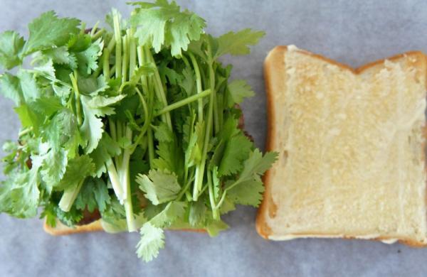 恐るべき断面美！ビジュアル系サンドイッチの超手軽な作り方