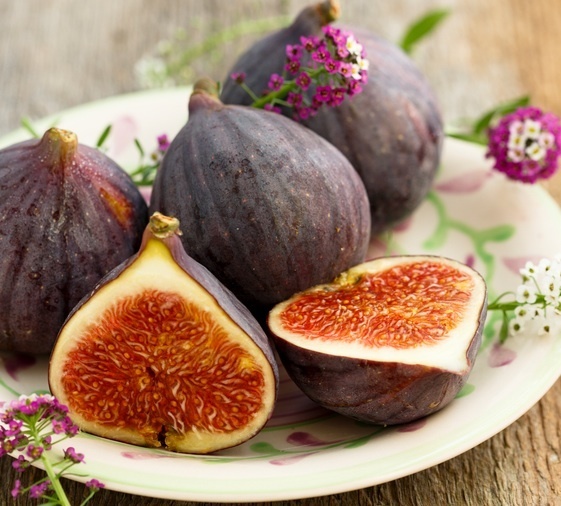 【8月31日】ココロに嵐が吹き荒れる…？厄日「二百十日（にひゃくとうか）」に注意！