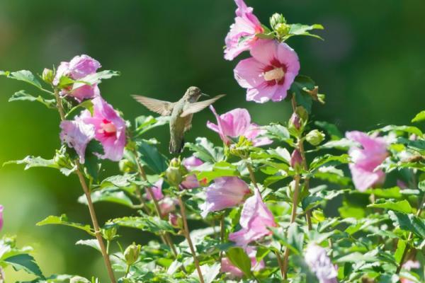 【8月31日】ココロに嵐が吹き荒れる…？厄日「二百十日（にひゃくとうか）」に注意！