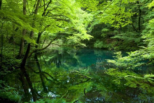 【五感を磨く】愛と幸せをいっぱい感じる「本能」が研ぎ澄まされる「5つの絶景」