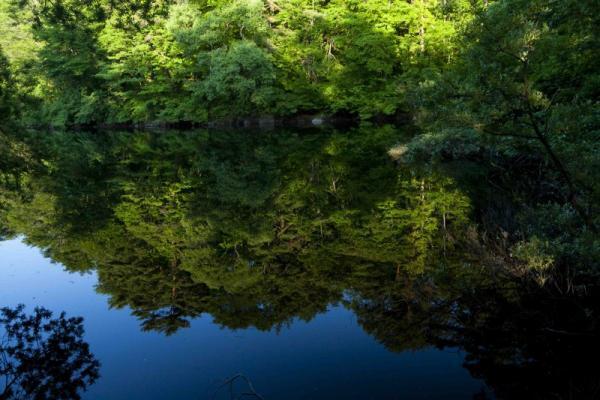 【五感を磨く】愛と幸せをいっぱい感じる「本能」が研ぎ澄まされる「5つの絶景」