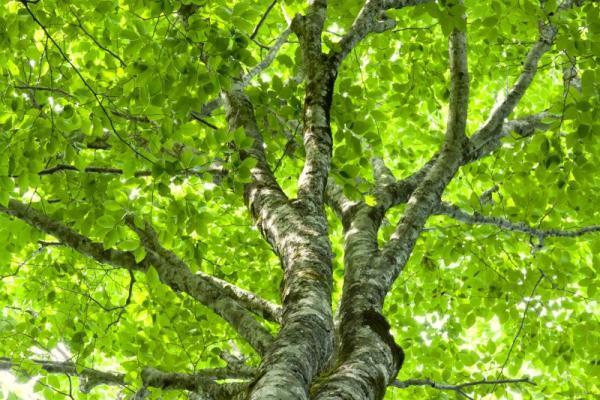 【五感を磨く】愛と幸せをいっぱい感じる「本能」が研ぎ澄まされる「5つの絶景」