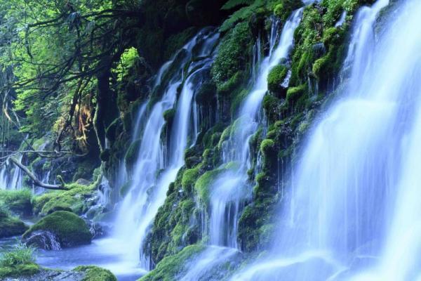 【五感を磨く】愛と幸せをいっぱい感じる「本能」が研ぎ澄まされる「5つの絶景」