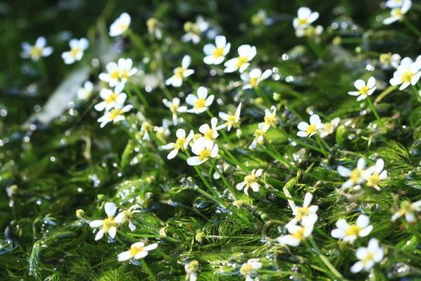 【五感を磨く】愛と幸せをいっぱい感じる「本能」が研ぎ澄まされる「5つの絶景」