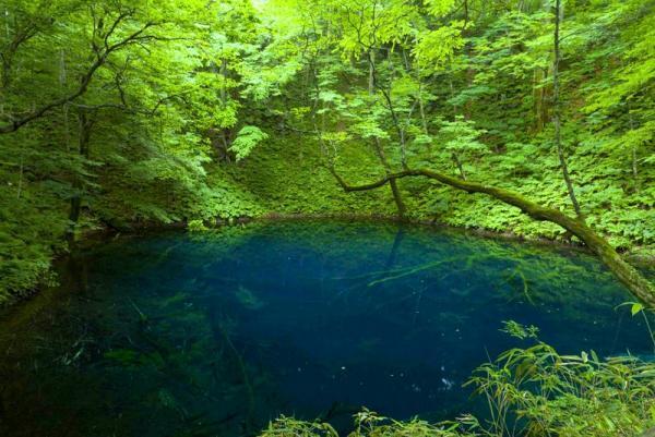 【五感を磨く】愛と幸せをいっぱい感じる「本能」が研ぎ澄まされる「5つの絶景」