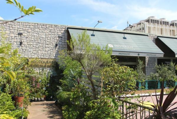 癒やし効果大！狭い部屋でも実現できる”窓辺ガーデン”のすすめ