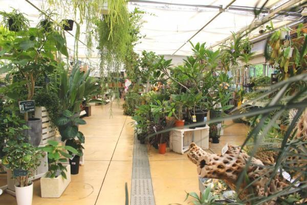 癒やし効果大！狭い部屋でも実現できる”窓辺ガーデン”のすすめ