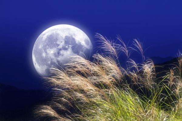 照れずに「Ｉlove you」を伝える方法とは？