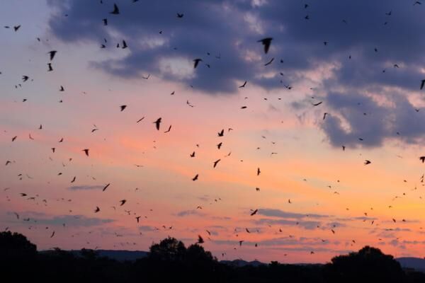 心の退化が人生から愛を奪う　9月18日～22日