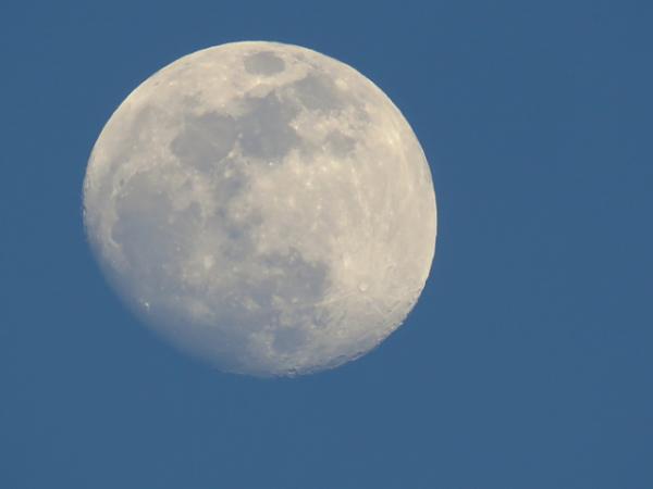 この日がチャンス！願いが満ちる”十三夜”とは？【10月13～17日】