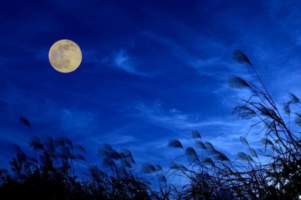 3分でさらばストレス！秋の夜長にしたい瞑想の方法【10月18～22日】