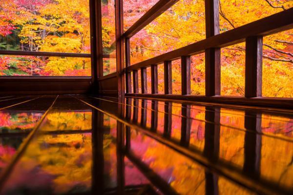 生きているうちに一度は見たい！京都の秋の絶景とは？【10月28日～11月１日】