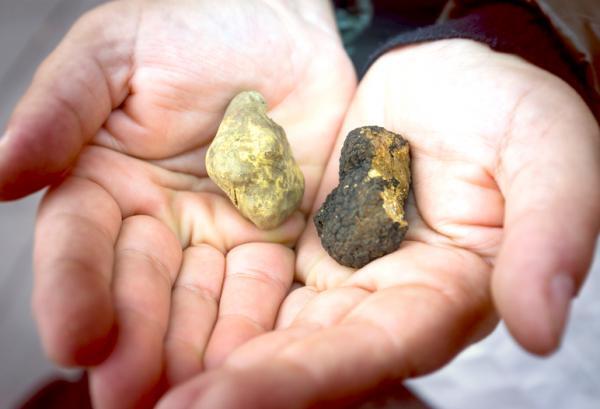 数滴でレストランの味に！ 欧米で人気の【トリュフオイル】の使い方って？