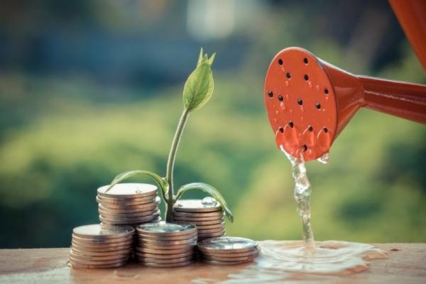 積み重ねが花となる？ ソロ女の貯蓄ライフ