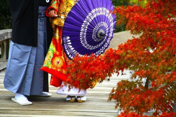 秋を堪能。紅葉から感じる”恋心”とは？【11月2～6日】