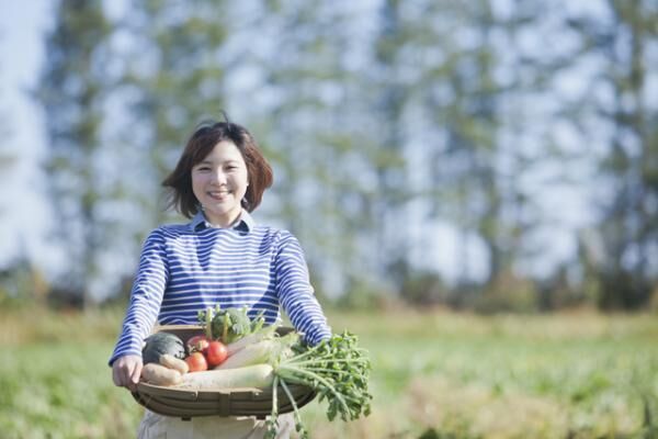 今更人に聞けない「ふるさと納税」ってどんなもの？