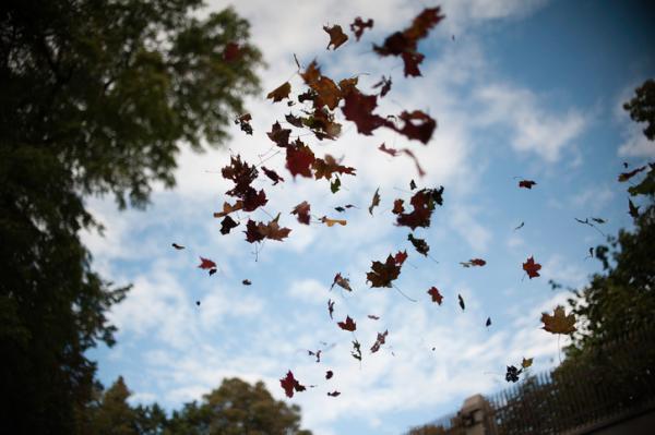 ”あなたの感受性を育む”この時季の俳句とは？【11月27日〜12月1日】
