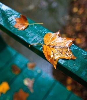 オシャレ上手は知っている！秋でもステテコが手放せないワケ！