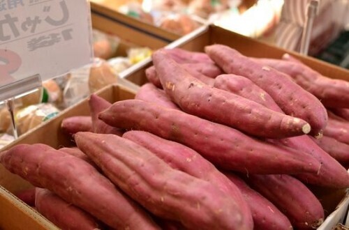 秋のボディはこれで作る！　おいしくキレイにやせるための3つのポイント