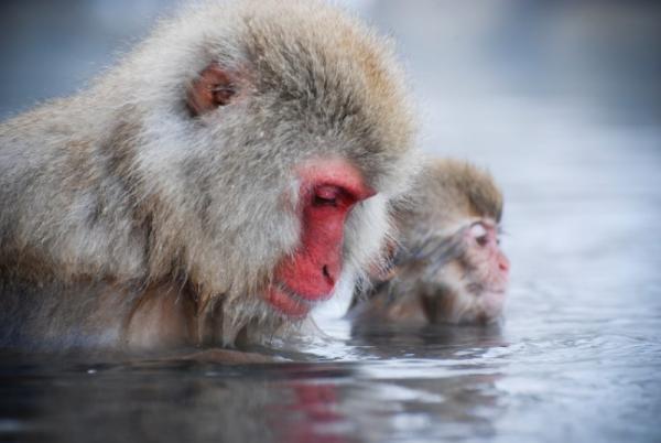 ストレスが溜まった時には！温泉療法で心身の疲れや肌トラブルを癒しましょう